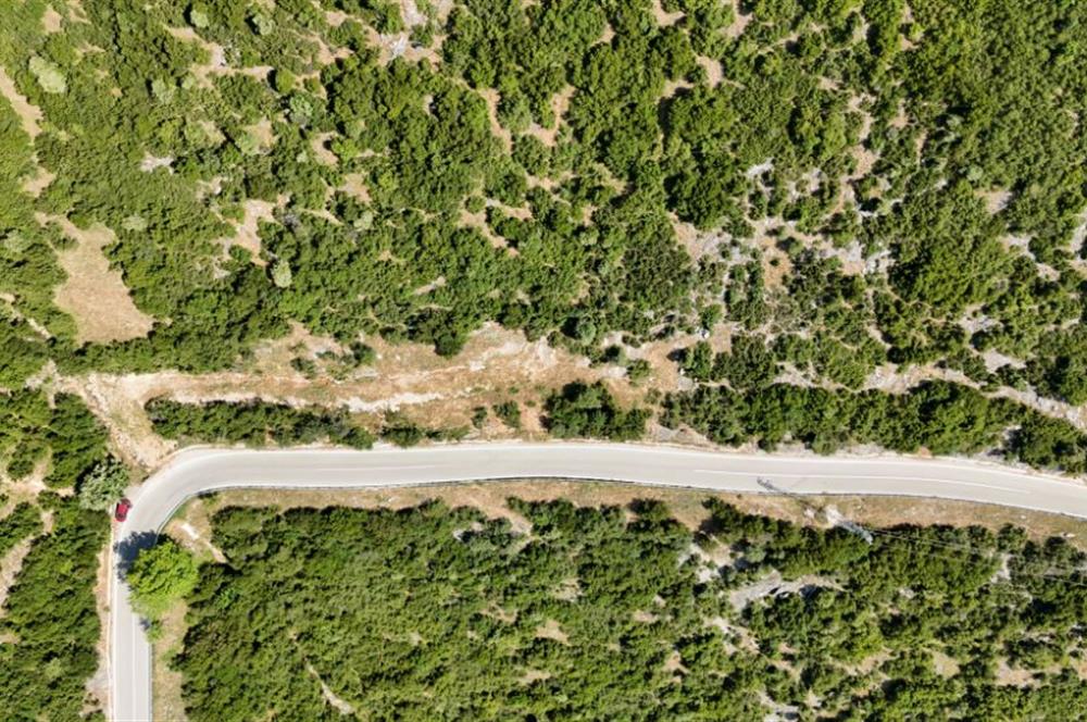 C21Cius; Şahinyurdu'nda Asfalt Yola Cepheli 626 m2 Manzaralı Arazi