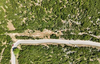 C21Cius; Şahinyurdu'nda Asfalt Yola Cepheli 626 m2 Manzaralı Arazi