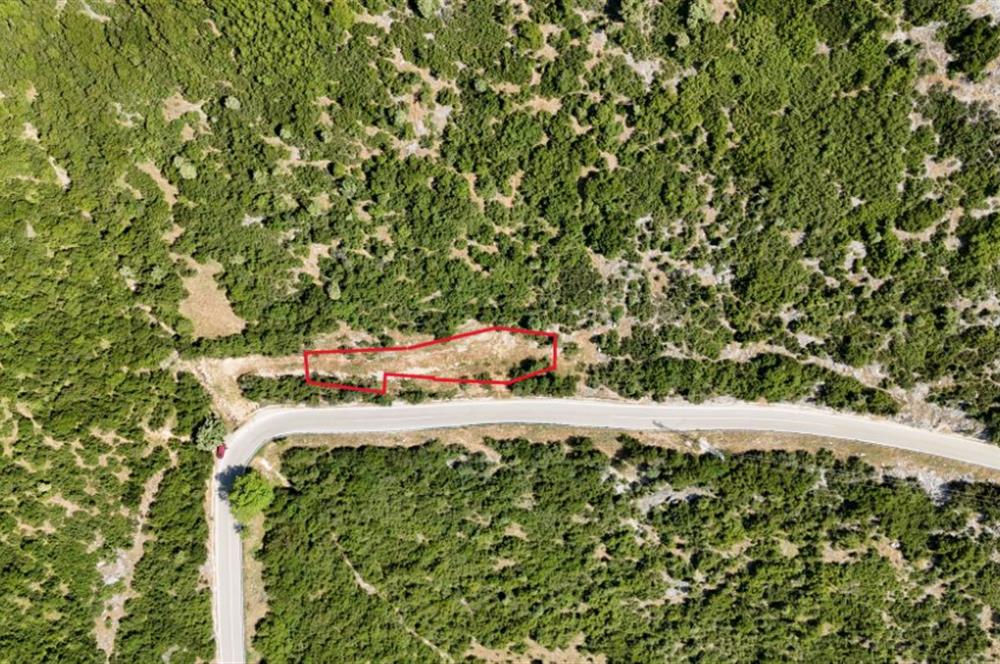 C21Cius; Şahinyurdu'nda Asfalt Yola Cepheli 626 m2 Manzaralı Arazi