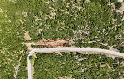 C21Cius; Şahinyurdu'nda Asfalt Yola Cepheli 626 m2 Manzaralı Arazi
