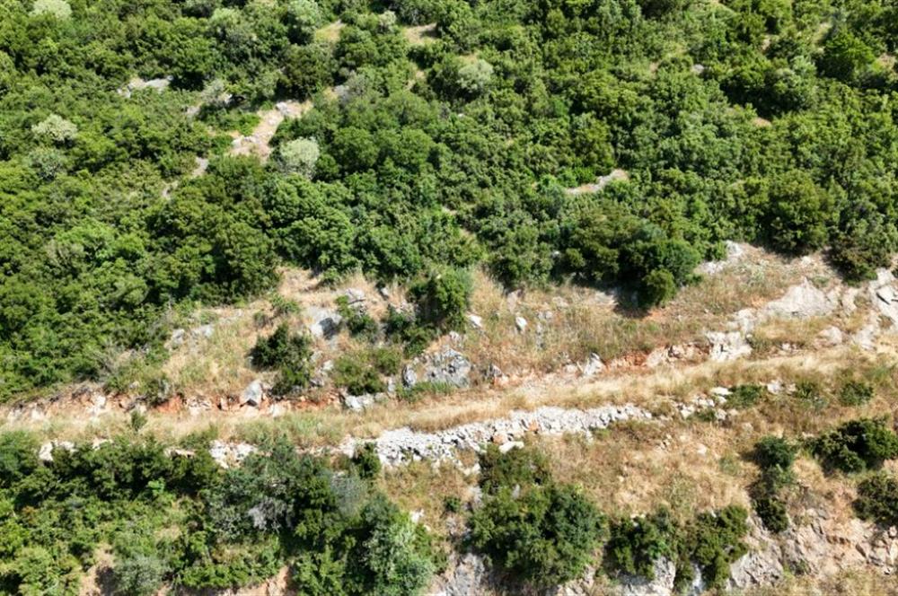 C21Cius; Şahinyurdu'nda Asfalt Yola Cepheli 626 m2 Manzaralı Arazi