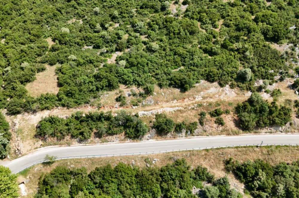 C21Cius; Şahinyurdu'nda Asfalt Yola Cepheli 626 m2 Manzaralı Arazi