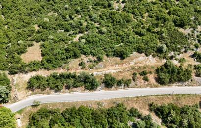 C21Cius; Şahinyurdu'nda Asfalt Yola Cepheli 626 m2 Manzaralı Arazi