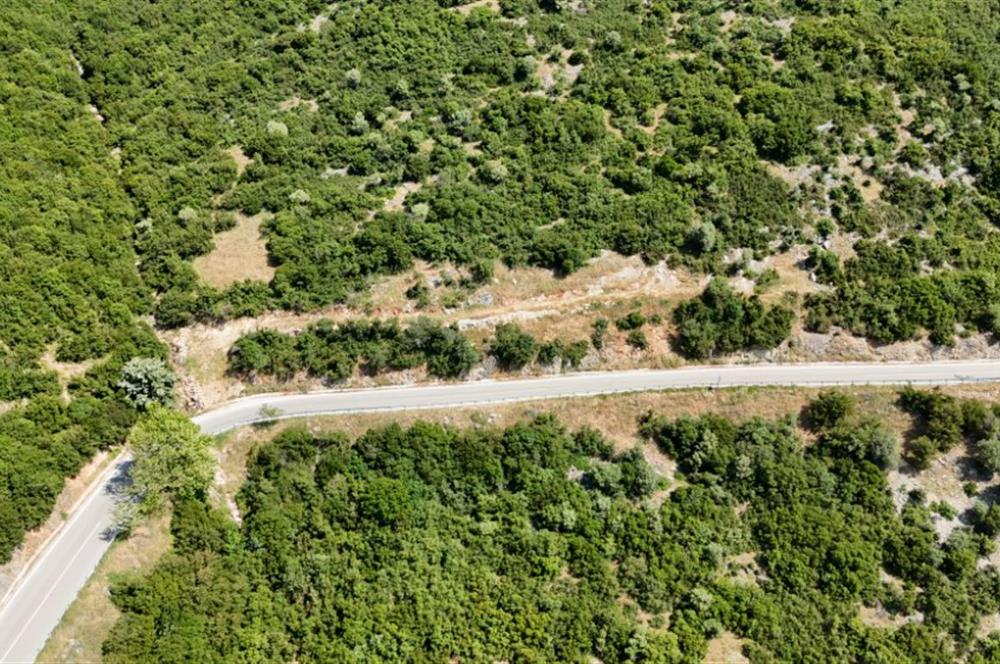 C21Cius; Şahinyurdu'nda Asfalt Yola Cepheli 626 m2 Manzaralı Arazi