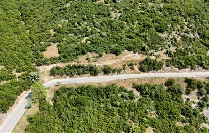 C21Cius; Şahinyurdu'nda Asfalt Yola Cepheli 626 m2 Manzaralı Arazi