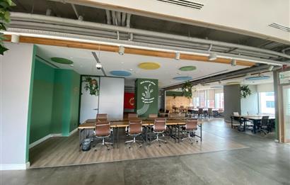 Maslak Kiralık Ofis Maslak 42'de 465m² Eşyalı KDV'li Ofis