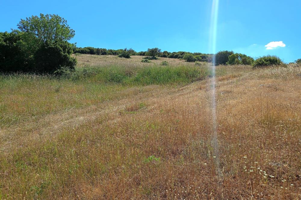 Ziyaretli'de Balıkesir Merkeze 4,5 Km Mesafede 7.600 m² Tarla