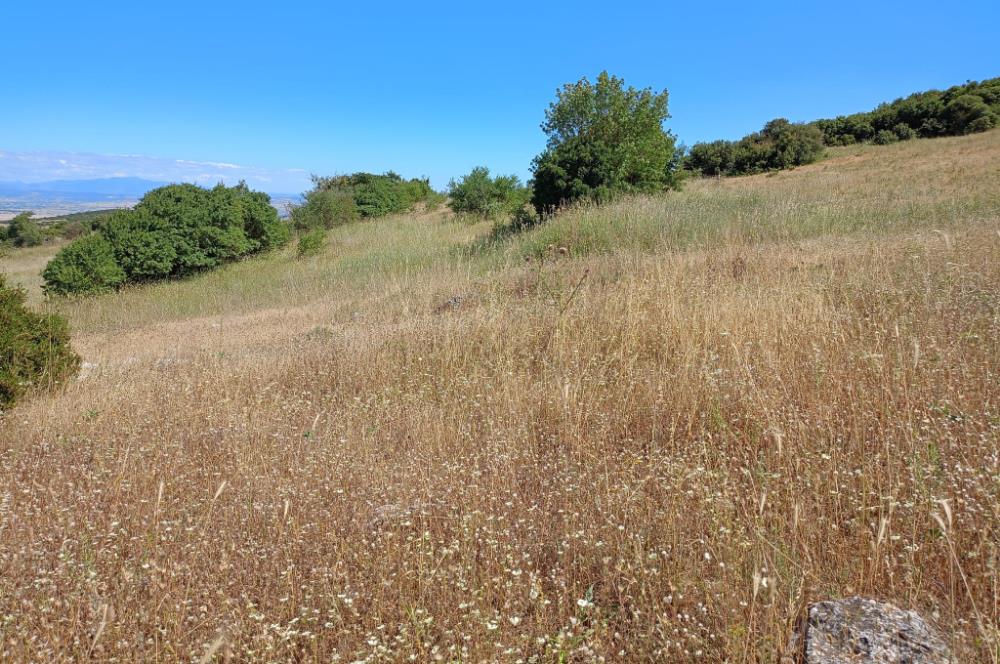Ziyaretli'de Balıkesir Merkeze 4,5 Km Mesafede 7.600 m² Tarla