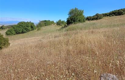 Ziyaretli'de Balıkesir Merkeze 4,5 Km Mesafede 7.600 m² Tarla