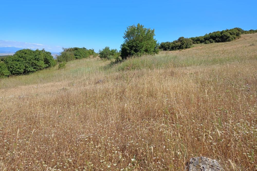 Ziyaretli'de Balıkesir Merkeze 4,5 Km Mesafede 7.600 m² Tarla