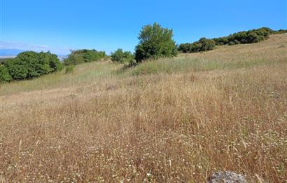 Ziyaretli'de Balıkesir Merkeze 4,5 Km Mesafede 7.600 m² Tarla