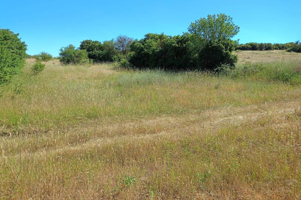 Ziyaretli'de Balıkesir Merkeze 4,5 Km Mesafede 7.600 m² Tarla