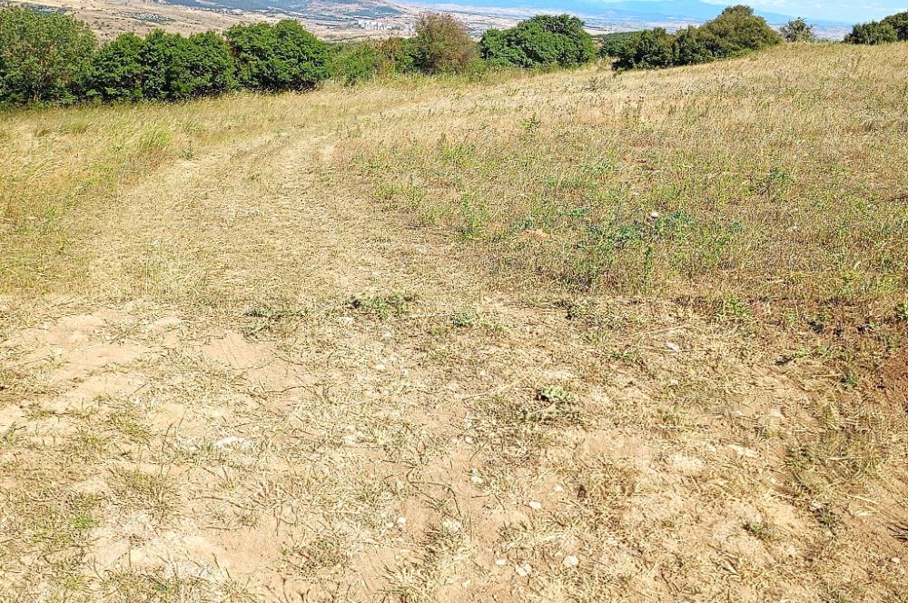 Ziyaretli'de Balıkesir Merkeze 4,5 Km Mesafede 7.600 m² Tarla