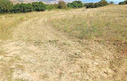 Ziyaretli'de Balıkesir Merkeze 4,5 Km Mesafede 7.600 m² Tarla