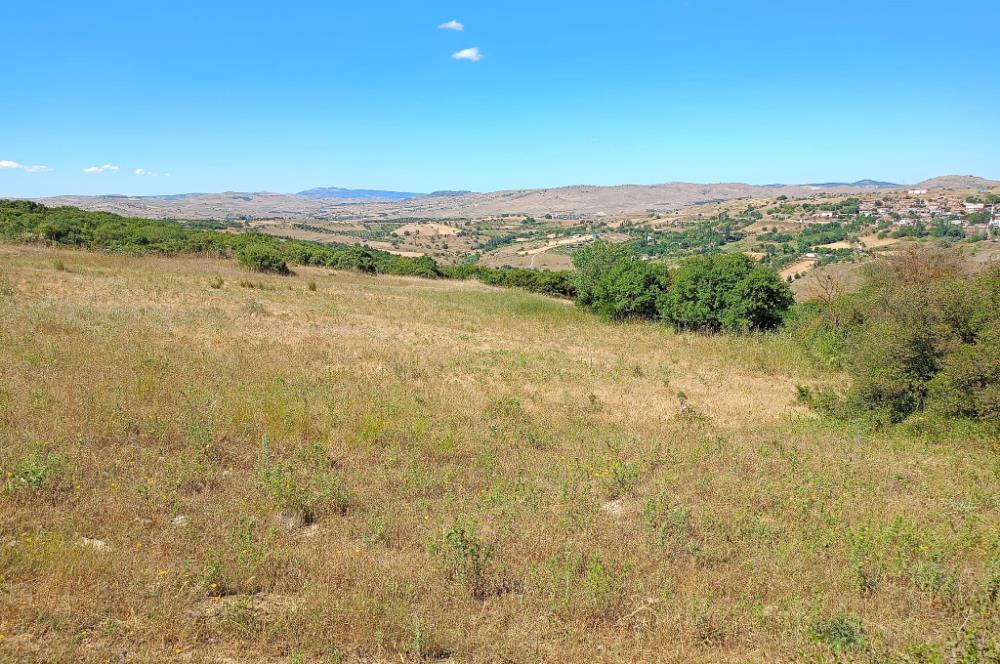 Ziyaretli'de Balıkesir Merkeze 4,5 Km Mesafede 7.600 m² Tarla