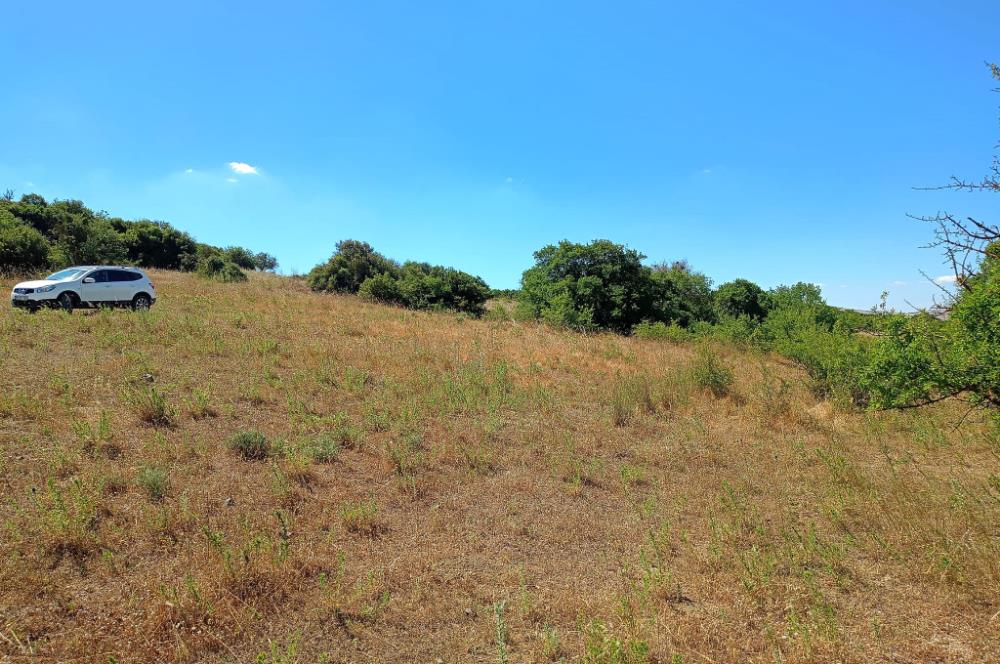 Ziyaretli'de Balıkesir Merkeze 4,5 Km Mesafede 7.600 m² Tarla