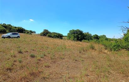 Ziyaretli'de Balıkesir Merkeze 4,5 Km Mesafede 7.600 m² Tarla
