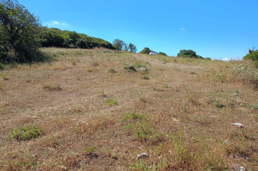 Ziyaretli'de Balıkesir Merkeze 4,5 Km Mesafede 7.600 m² Tarla