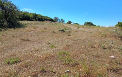 Ziyaretli'de Balıkesir Merkeze 4,5 Km Mesafede 7.600 m² Tarla