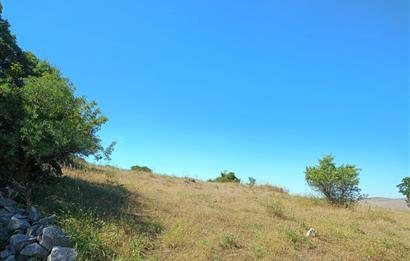 Ziyaretli'de Balıkesir Merkeze 4,5 Km Mesafede 7.600 m² Tarla