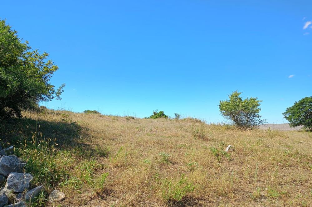 Ziyaretli'de Balıkesir Merkeze 4,5 Km Mesafede 7.600 m² Tarla