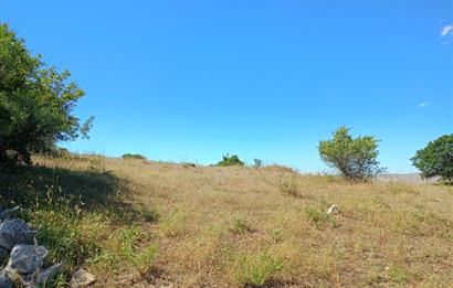 Ziyaretli'de Balıkesir Merkeze 4,5 Km Mesafede 7.600 m² Tarla