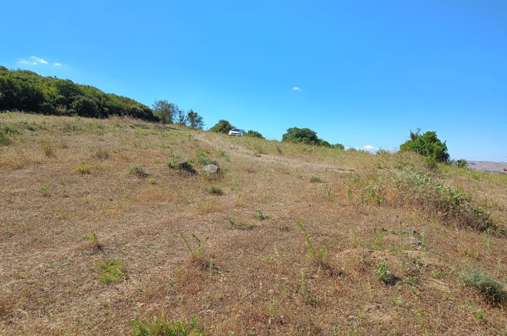 Ziyaretli'de Balıkesir Merkeze 4,5 Km Mesafede 7.600 m² Tarla