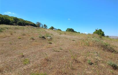 Ziyaretli'de Balıkesir Merkeze 4,5 Km Mesafede 7.600 m² Tarla