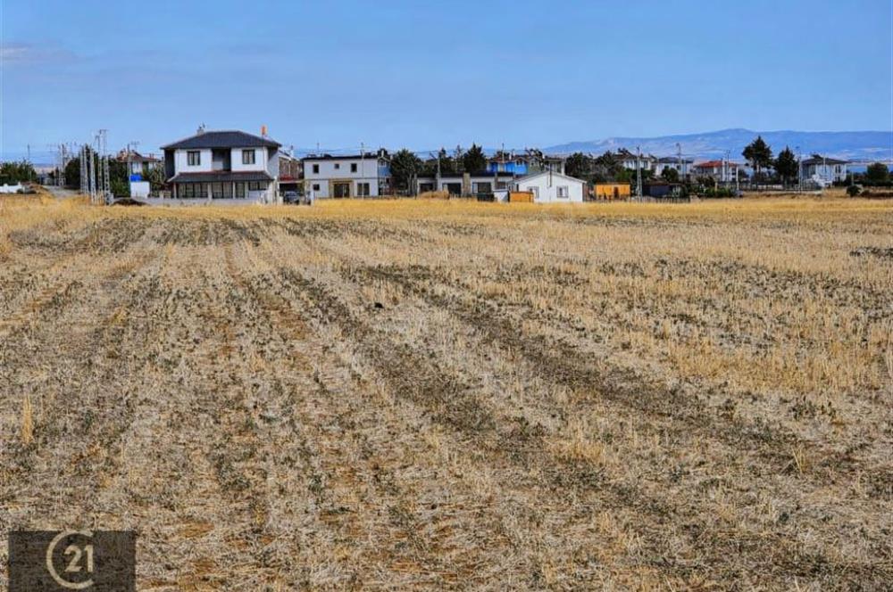 GELİBOLU ADİLHAN KÖYÜNDE DENİZE YAKIN SATILIK ARSA