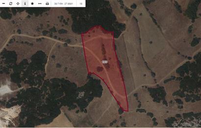 Ziyaretli'de Balıkesir Merkeze 4,5 Km Mesafede 7.600 m² Tarla
