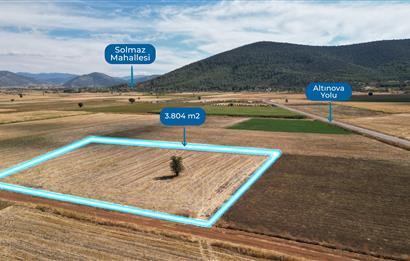 C21 Loft'tan Tavas Solmaz Mahallesinde Satılık Tarla 