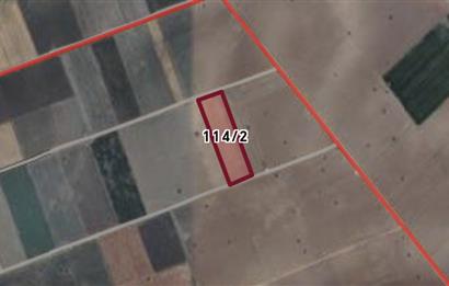 C21 Loft'tan Tavas Solmaz Mahallesinde Satılık Tarla 