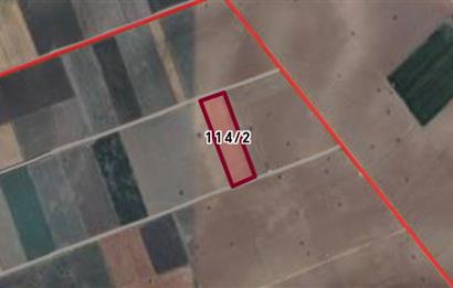 C21 Loft'tan Tavas Solmaz Mahallesinde Satılık Tarla 