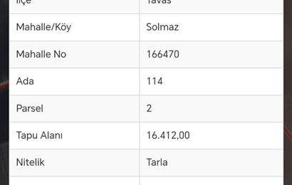 C21 Loft'tan Tavas Solmaz Mahallesinde Satılık Tarla 