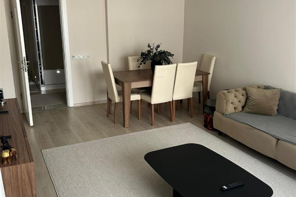 C21 BAL'dan PAŞAALANINDA KREDİYE UYGUN KULLANIŞLI 3+1 DAİRE