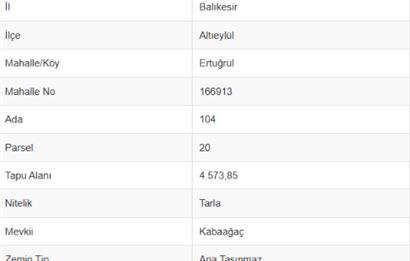 C21 Bal'dan Altıeylül Ertuğrul Mahallesinde Satılık Tarla