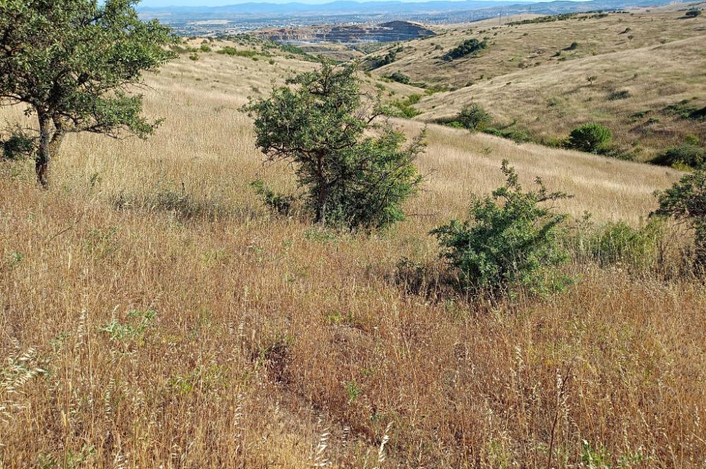 Karesi Ziyaretli Satılık Doğa ve Şehir Manzaralı 12.200 m2 Tarla