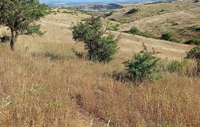 Karesi Ziyaretli Satılık Doğa ve Şehir Manzaralı 12.200 m2 Tarla