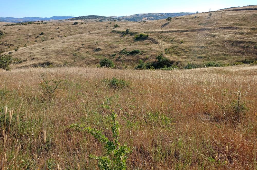 Karesi Ziyaretli Satılık Doğa ve Şehir Manzaralı 12.200 m2 Tarla