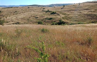Karesi Ziyaretli Satılık Doğa ve Şehir Manzaralı 12.200 m2 Tarla