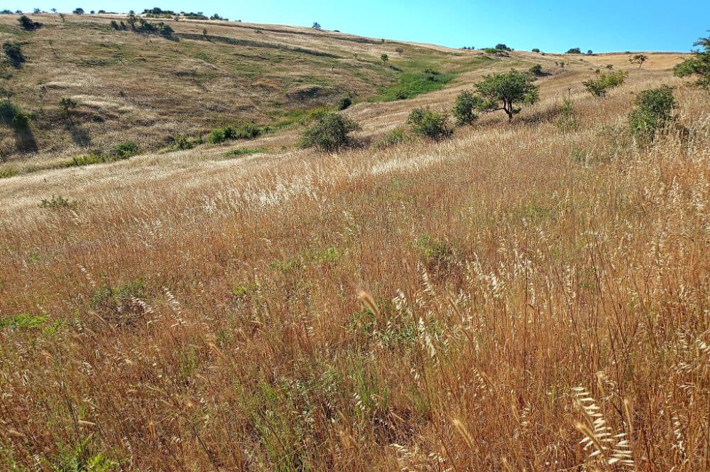 Karesi Ziyaretli Satılık Doğa ve Şehir Manzaralı 12.200 m2 Tarla