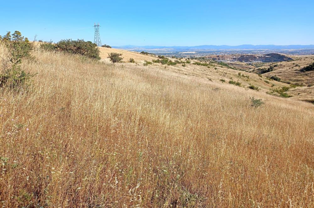Karesi Ziyaretli Satılık Doğa ve Şehir Manzaralı 12.200 m2 Tarla