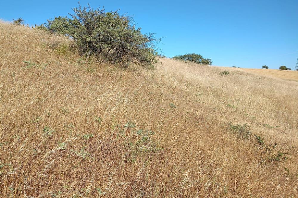 Karesi Ziyaretli Satılık Doğa ve Şehir Manzaralı 12.200 m2 Tarla