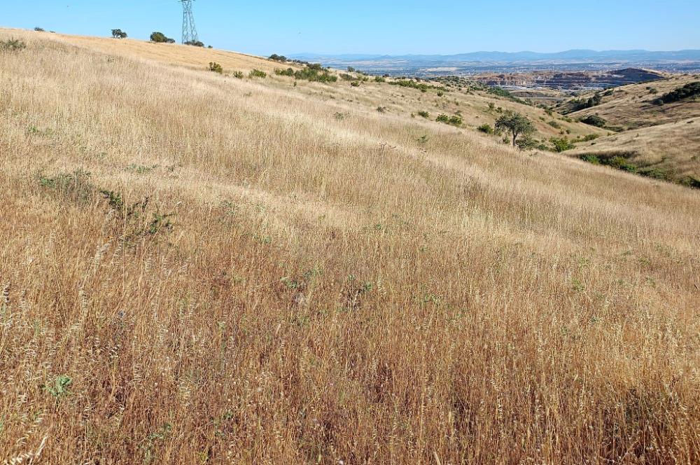Karesi Ziyaretli Satılık Doğa ve Şehir Manzaralı 12.200 m2 Tarla