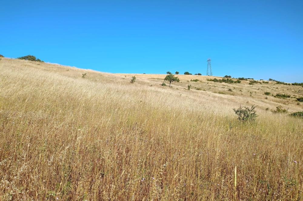Karesi Ziyaretli Satılık Doğa ve Şehir Manzaralı 12.200 m2 Tarla