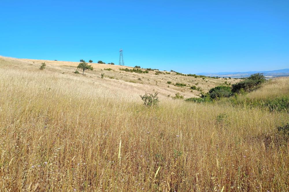 Karesi Ziyaretli Satılık Doğa ve Şehir Manzaralı 12.200 m2 Tarla