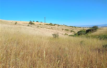 Karesi Ziyaretli Satılık Doğa ve Şehir Manzaralı 12.200 m2 Tarla