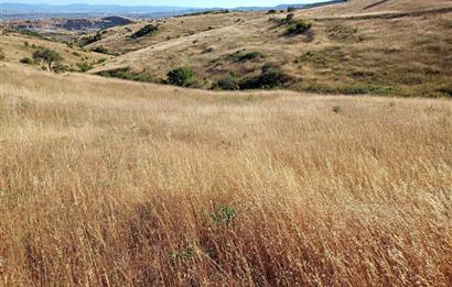 Karesi Ziyaretli Satılık Doğa ve Şehir Manzaralı 12.200 m2 Tarla