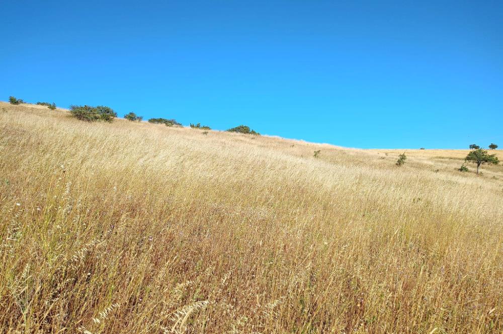Karesi Ziyaretli Satılık Doğa ve Şehir Manzaralı 12.200 m2 Tarla