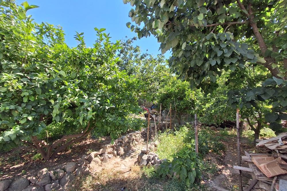 Bodrum Gundogan dönemsel veya yıllık kiralık daire
